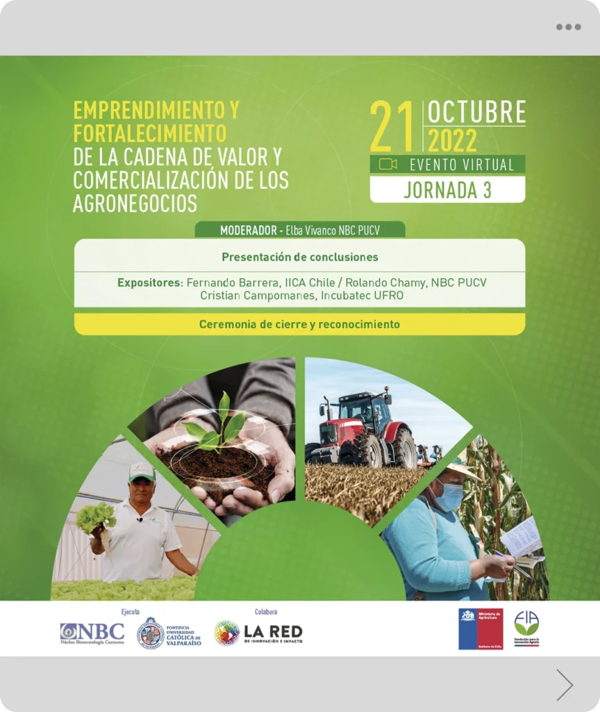 proyecto-icarusmedia-sistemas-agricolas-007