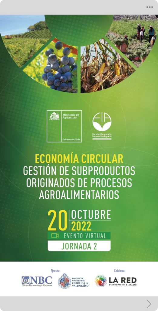 proyecto-icarusmedia-sistemas-agricolas-009